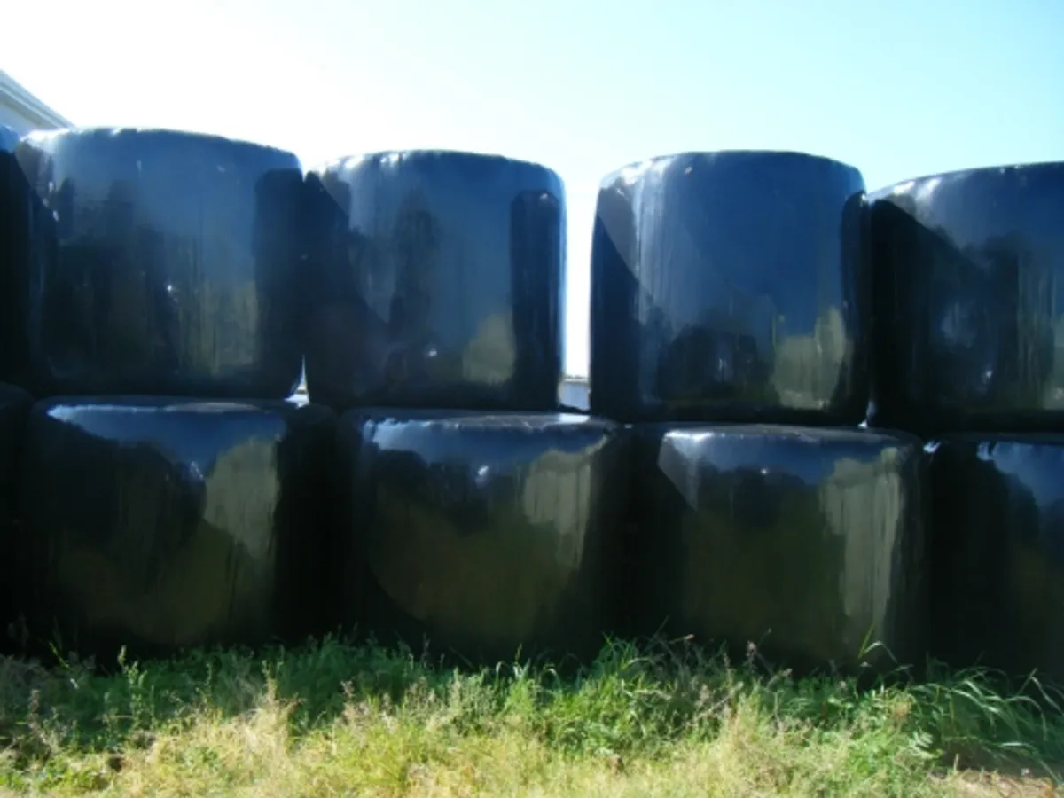 2025 Hay Squares/Round & Haylage,  2025 Straw - Image 4