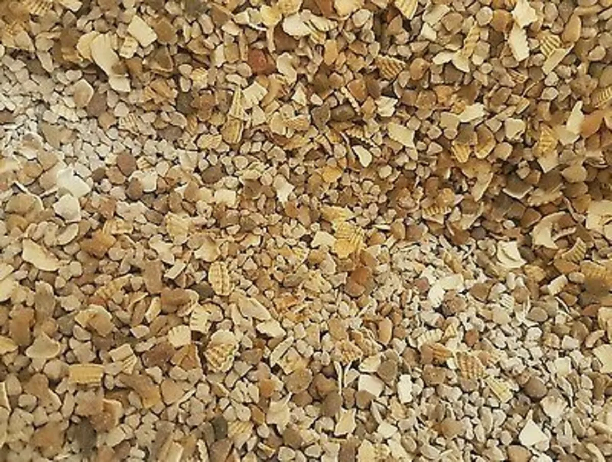 Mixed Grit & Oyster Shell for Poultry - Image 2