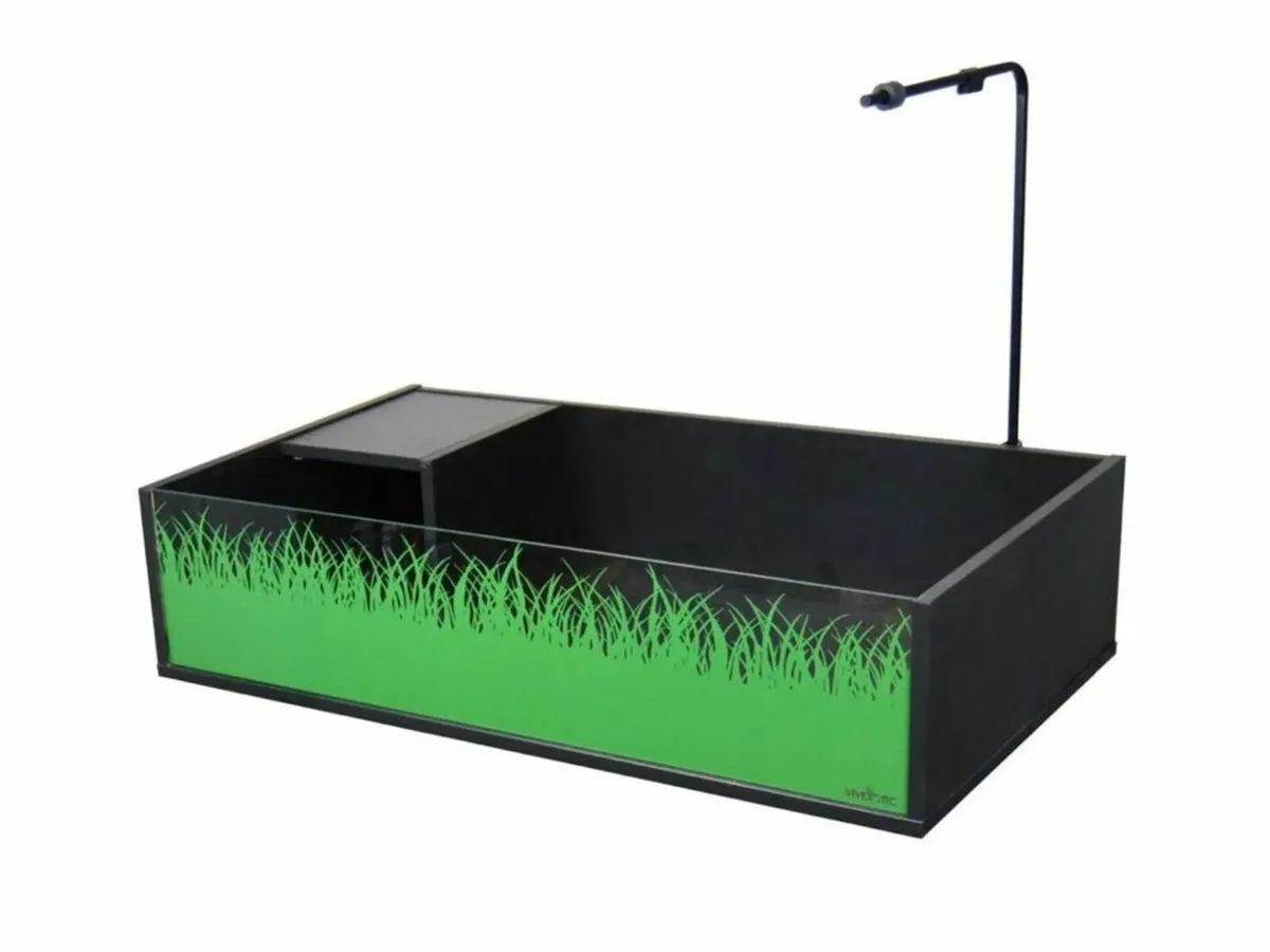 Tortoise Setups - Image 4