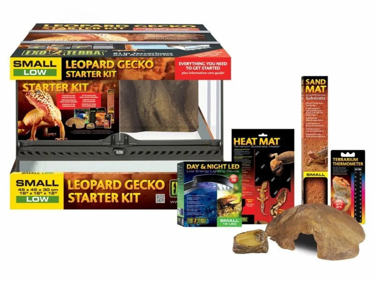 Leopard Gecko Setups - Image 1