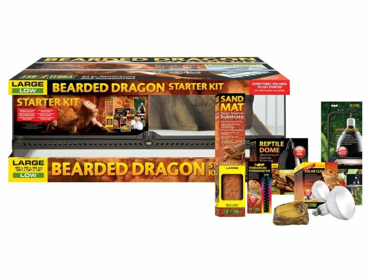 Bearded Dragon Setups - Image 2