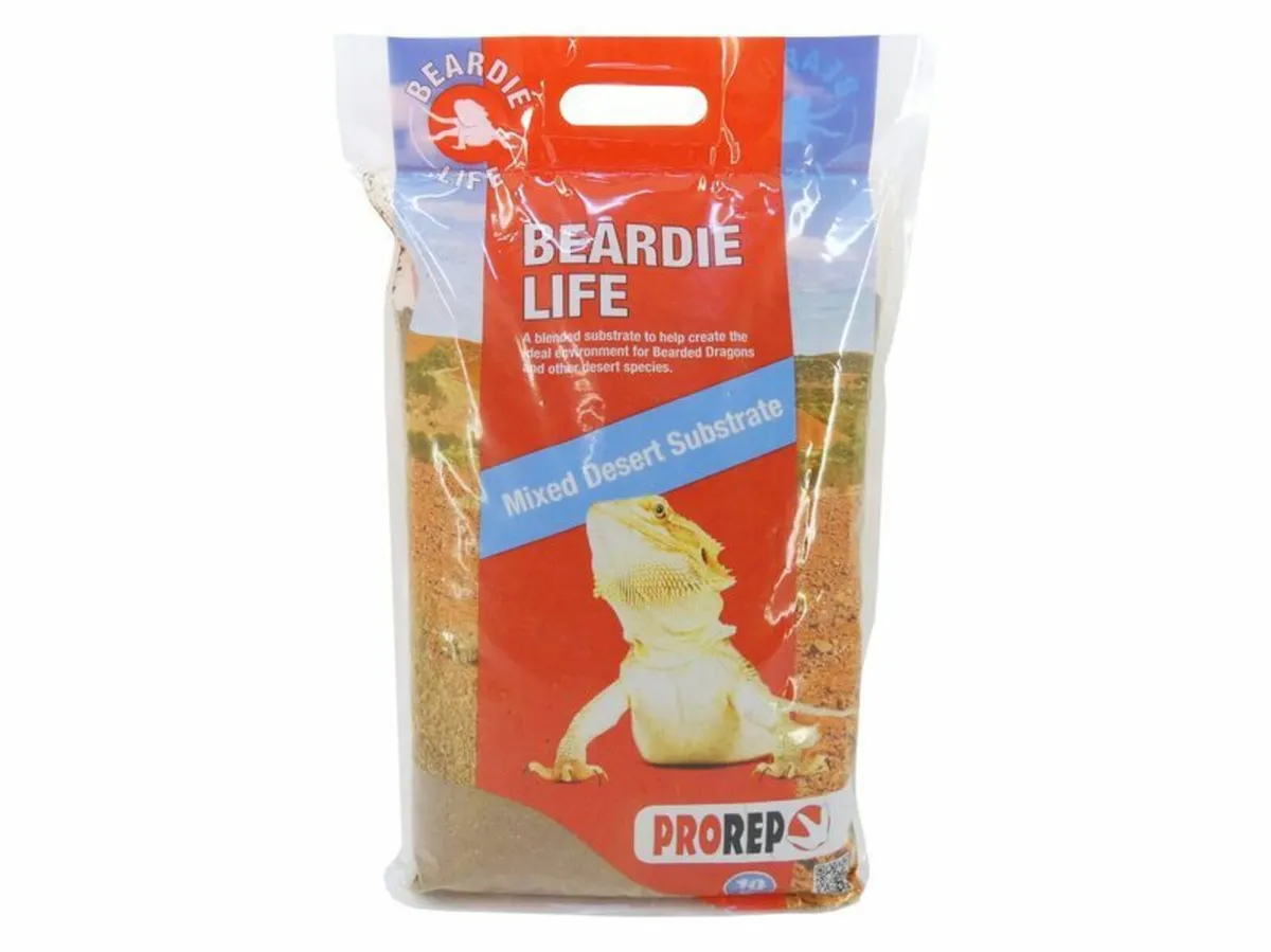 Bearded Dragon Setups - Image 1