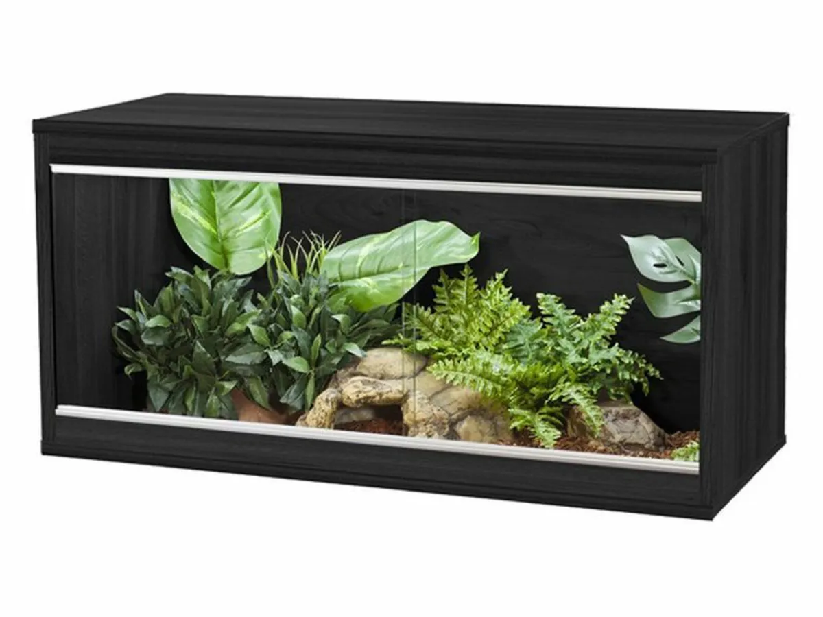 Bearded Dragon Setups - Image 4