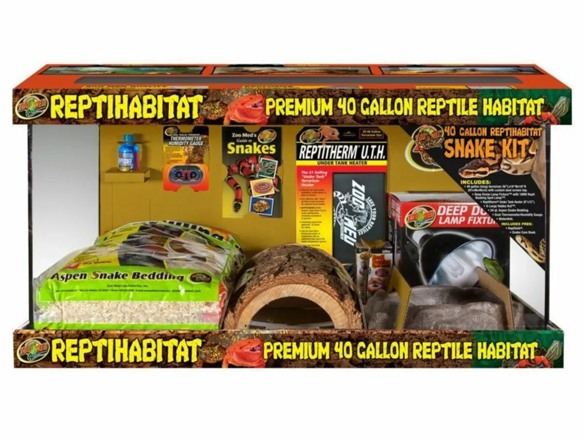 Corn Snake Setups - Image 1