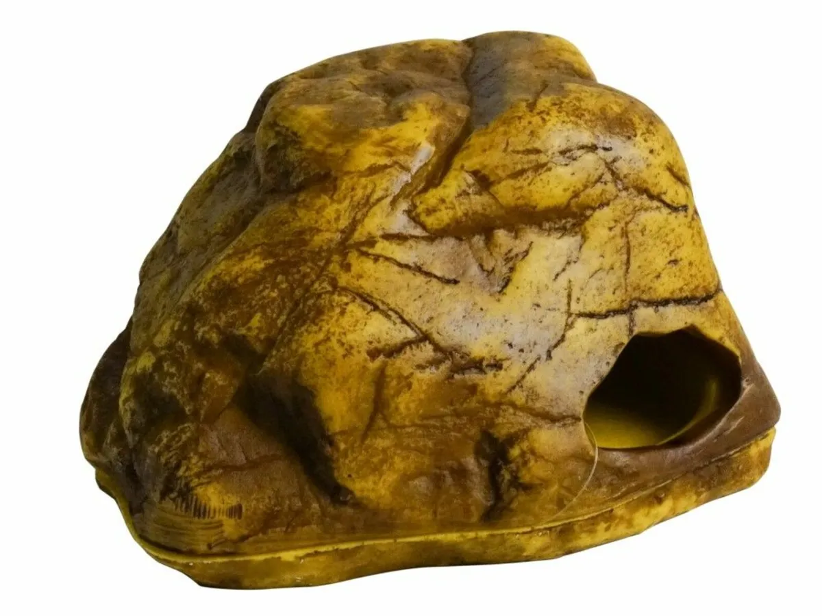 Corn Snake Setups - Image 3