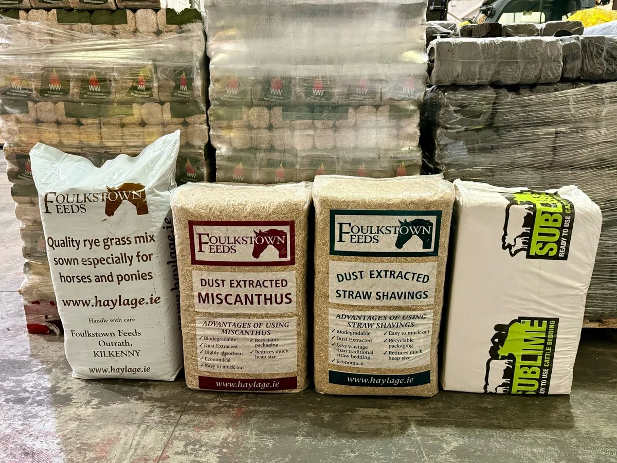 Wood Shavings - Kiln Dried - Image 2