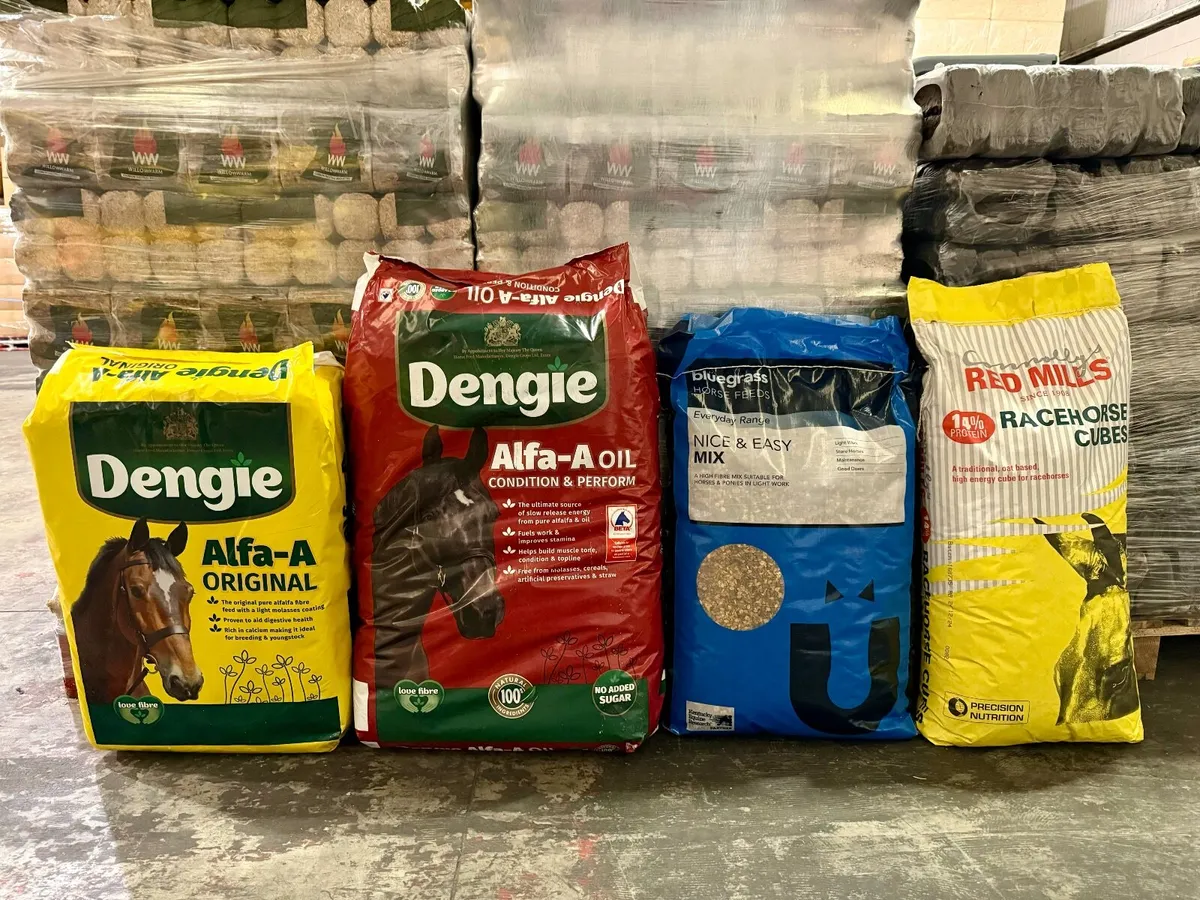 Wood Shavings - Kiln Dried - Image 3