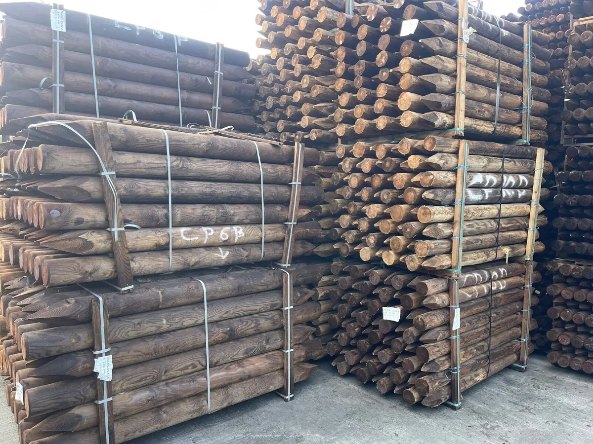 Timber Fencing Posts - Green & Brown Treated - Image 4