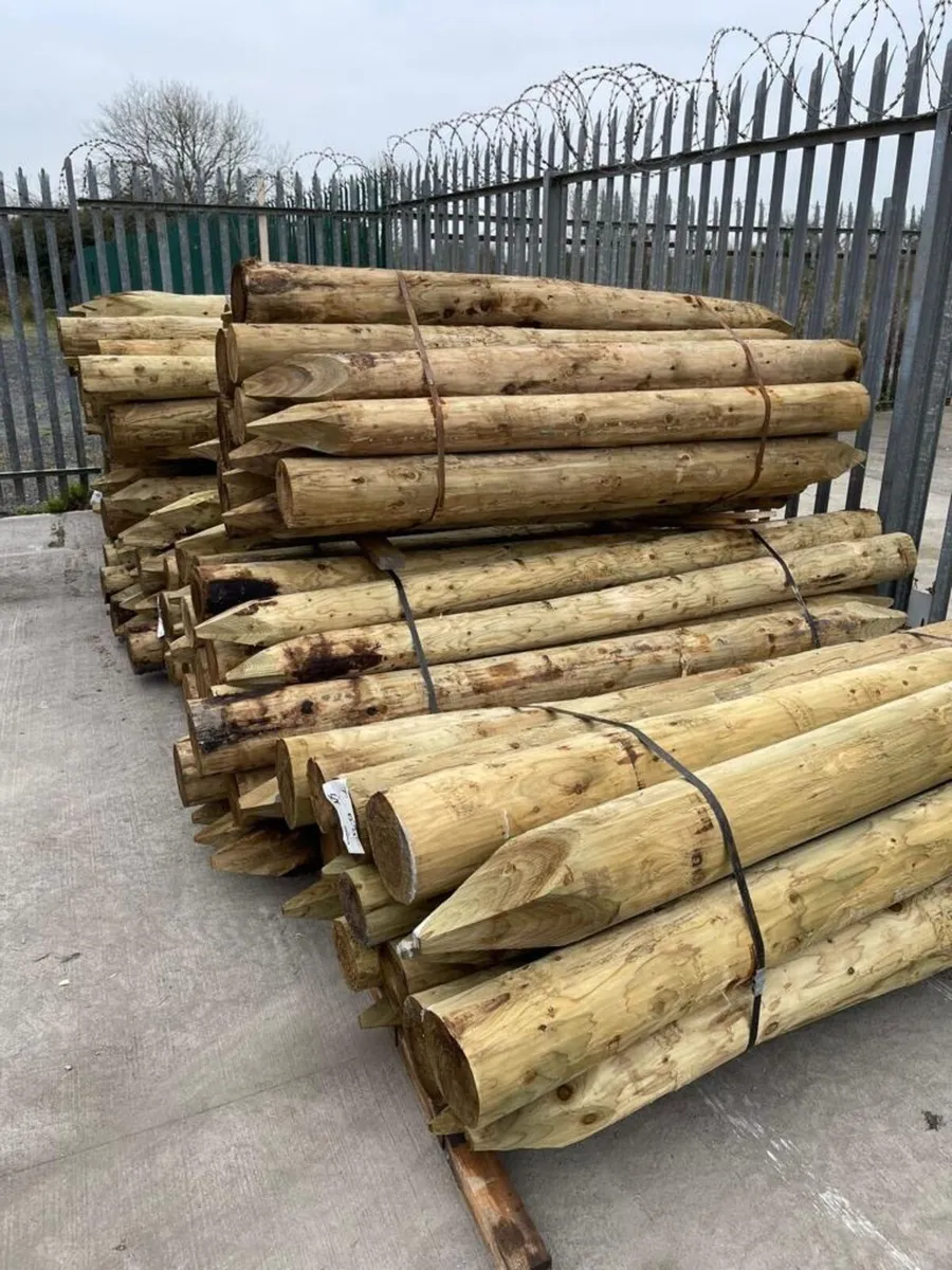 Timber Fencing Posts - Green & Brown Treated - Image 2