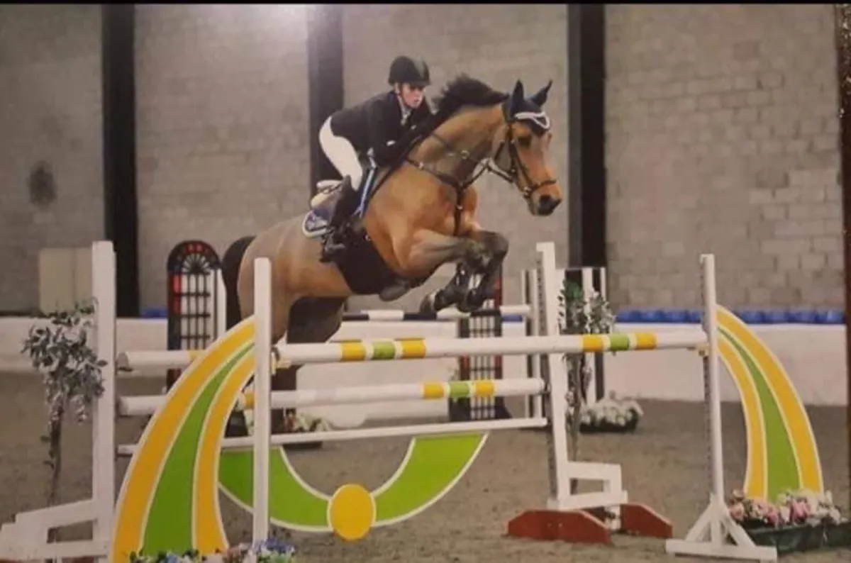 AW Equine Services - Image 2