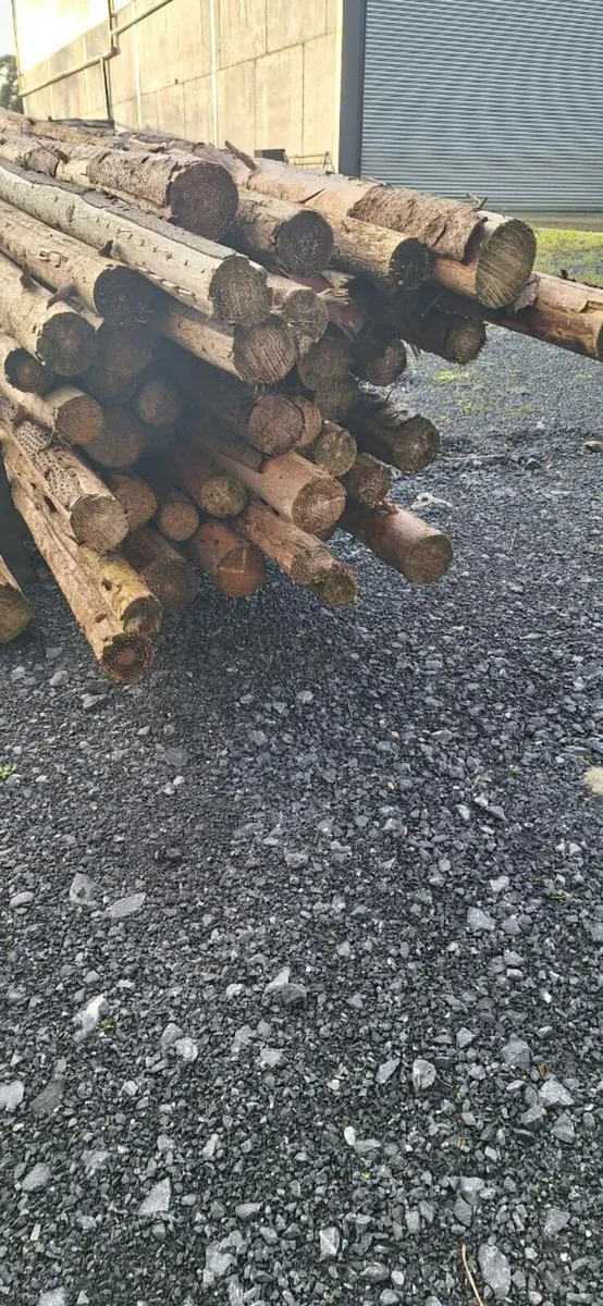 Scout spars/pioneer poles - Image 3