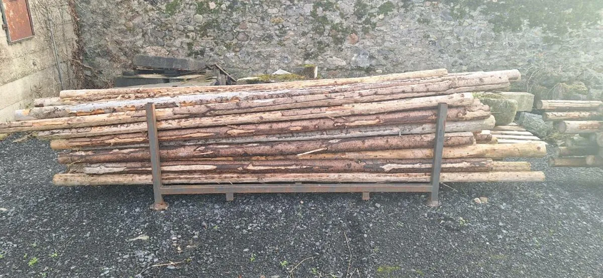 Scout spars/pioneer poles - Image 4