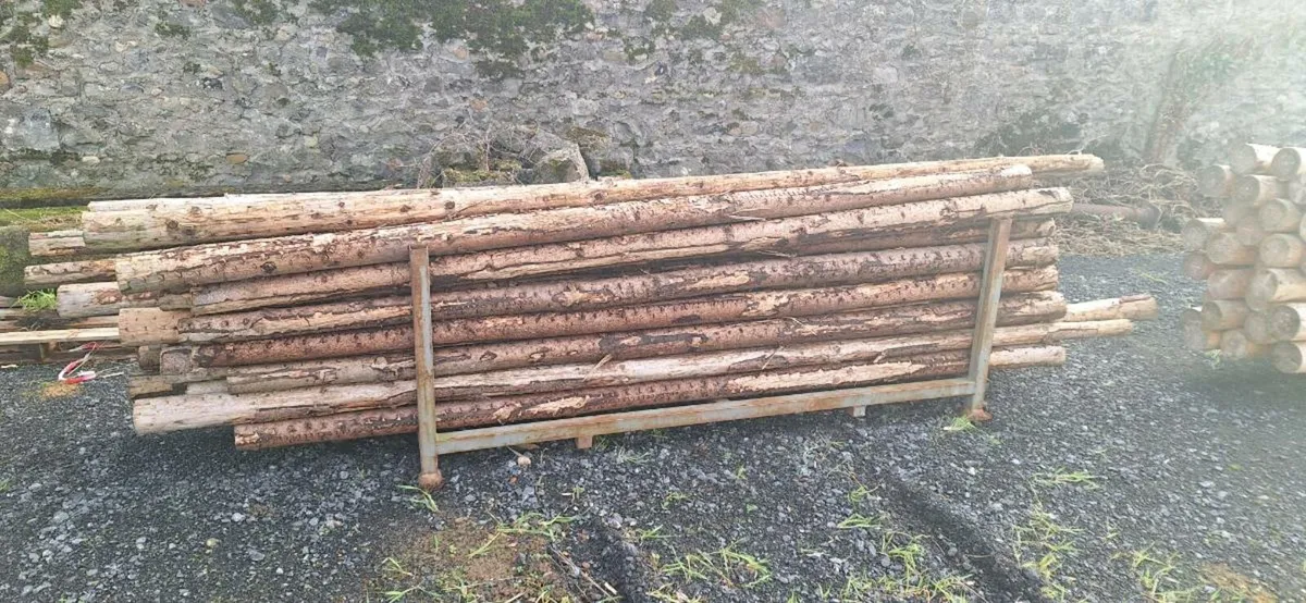 Scout spars/pioneer poles - Image 1