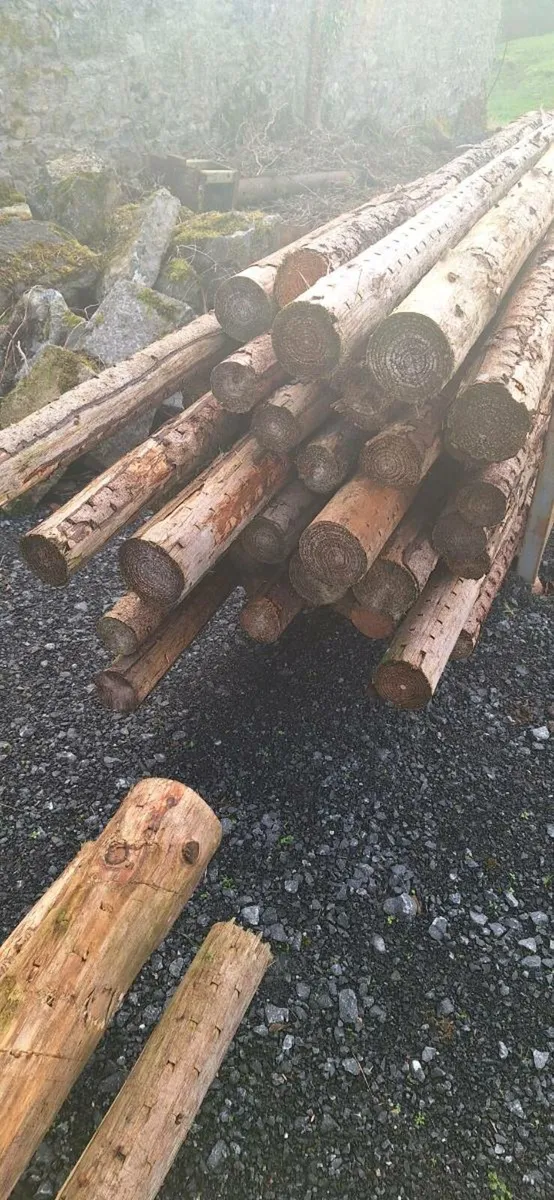 Scout spars/pioneer poles - Image 2