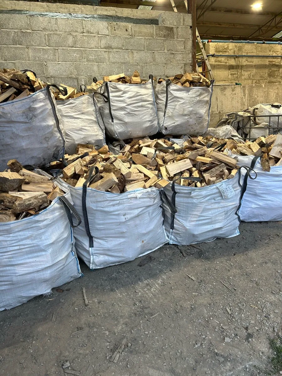 DRY FIREWOOD - Image 1