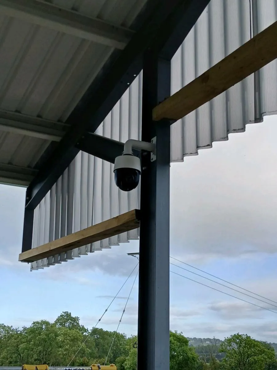 Calving camera - Image 4