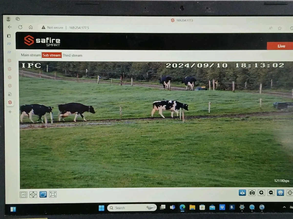 Calving camera - Image 3