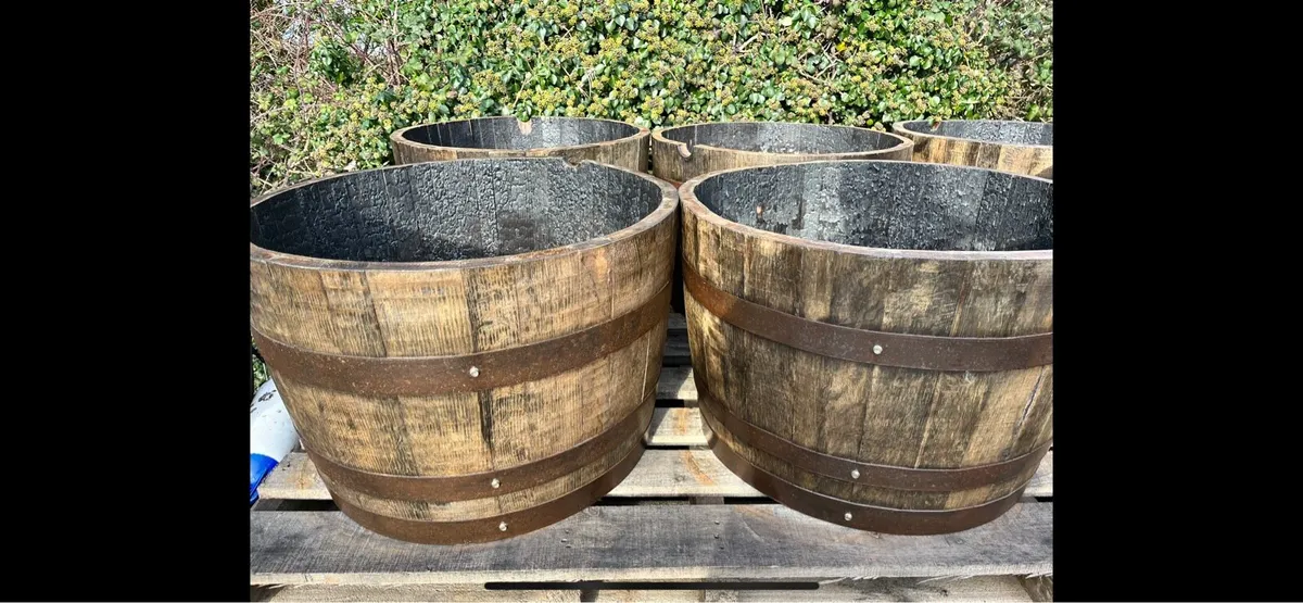 Barrels- Full barrels - planters- and more - Image 4