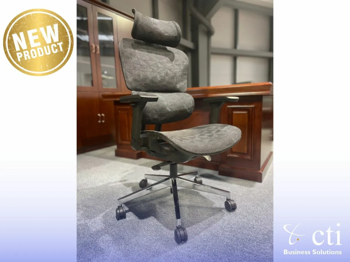 Our Brand New Wyndham Executive Office Chairs - Image 2