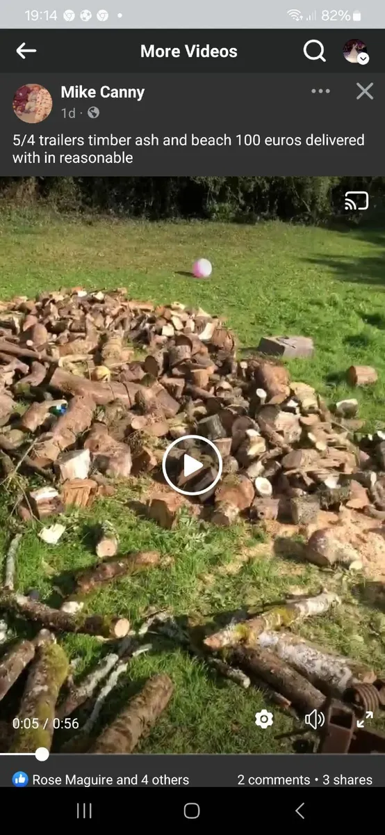 Ash and hardwood trailer or bags 5euro - Image 3