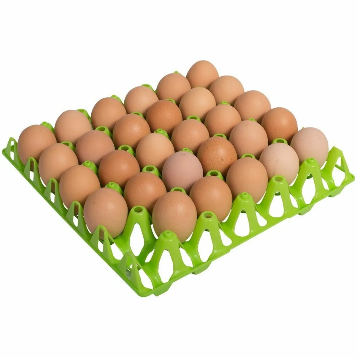 Egg Trays, Boxes, Baskets & Packaging - Image 1