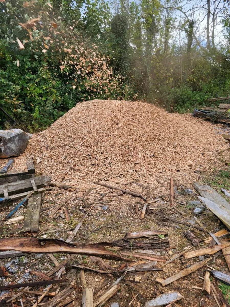 Wood Chip - Image 2