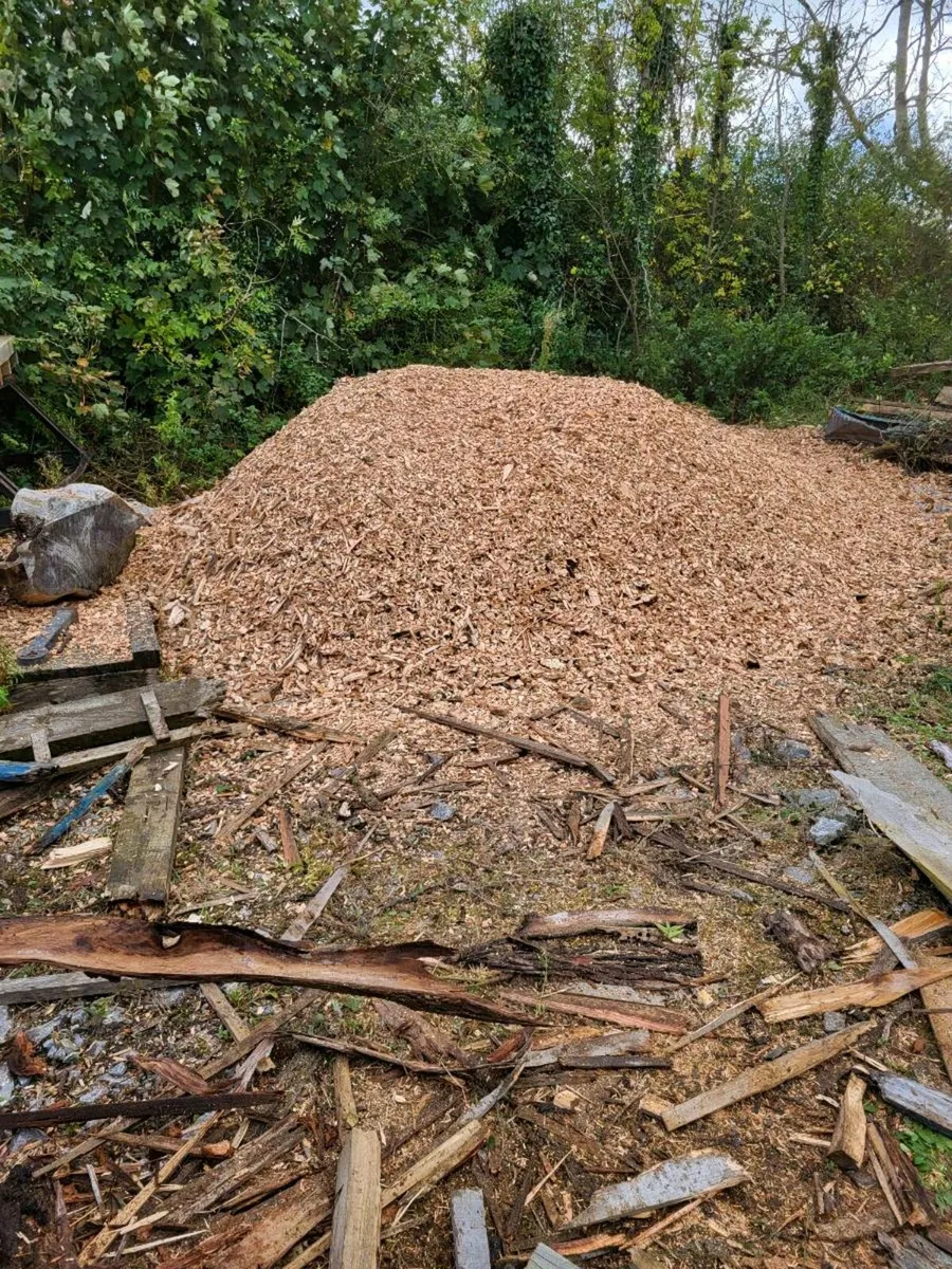 Wood Chip - Image 3
