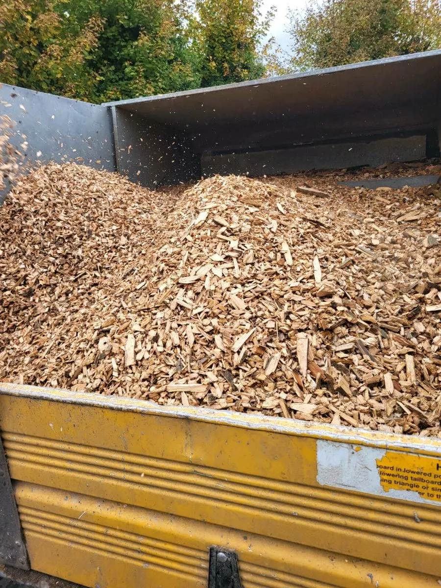 Wood Chip - Image 1