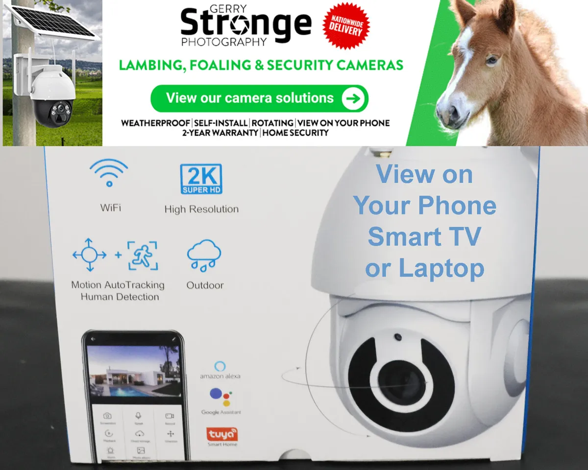 Calving and Security Cameras. - Image 1