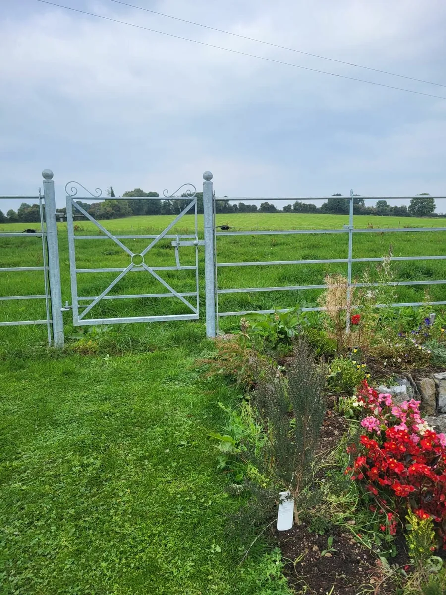 Estate Fencing - Image 4
