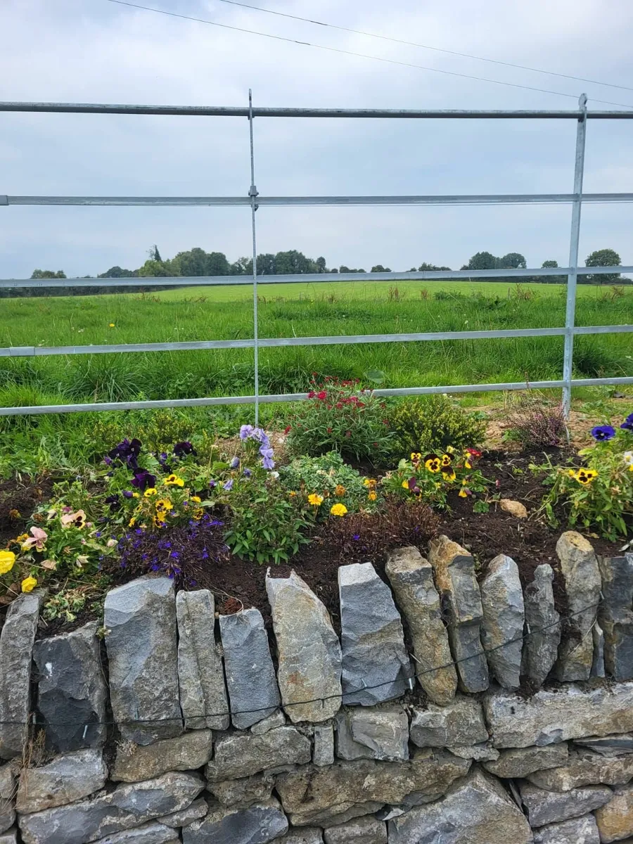 Estate Fencing - Image 1
