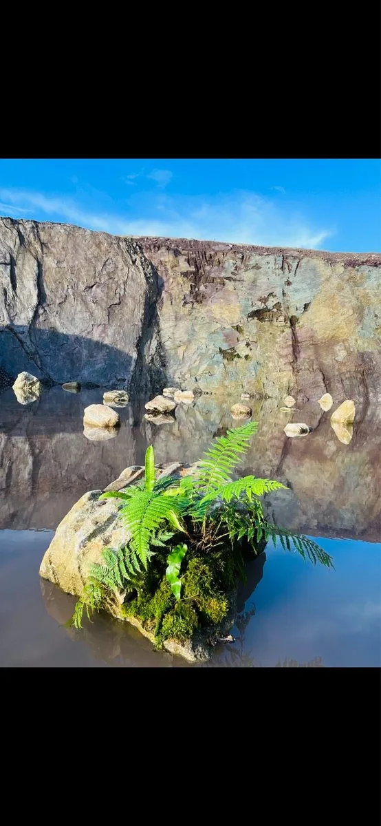 Landscape Boulders - Image 4