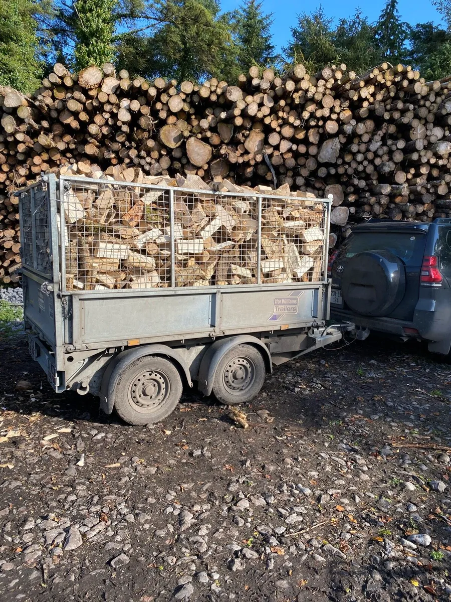 Firewood Kiln dried hardwood and softwood - Image 4
