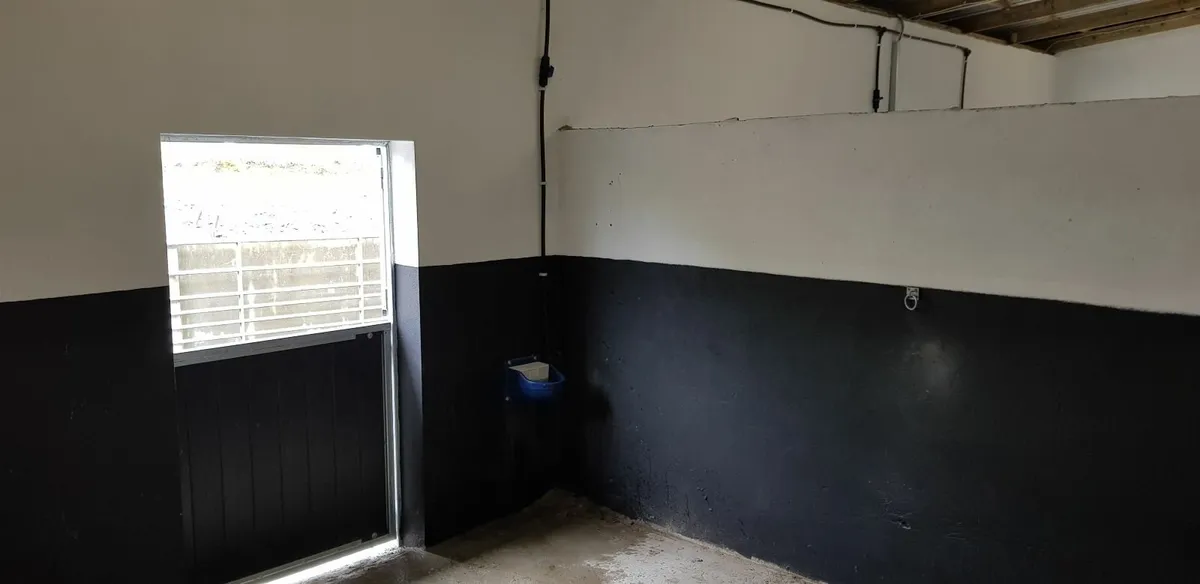 Livery Westport - Image 4