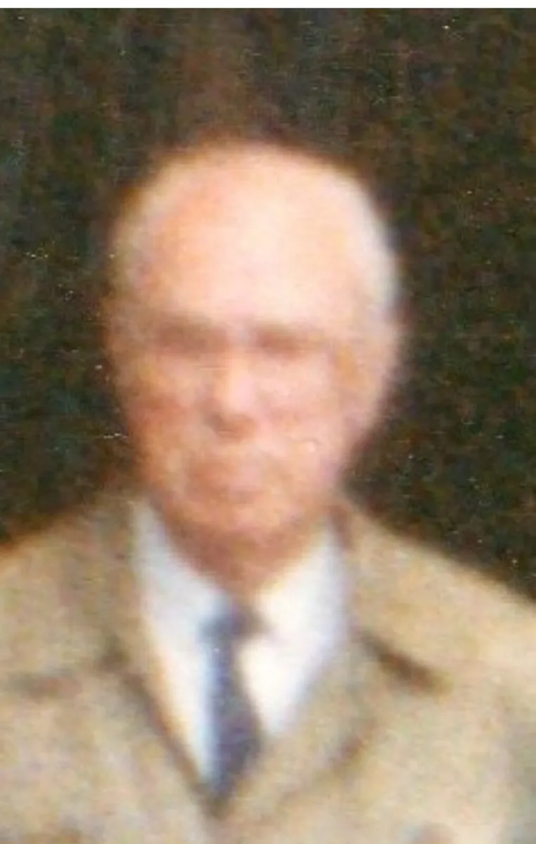 Tracing  Ferguson 20 TVO —South-E Clare in 1990s - Image 4