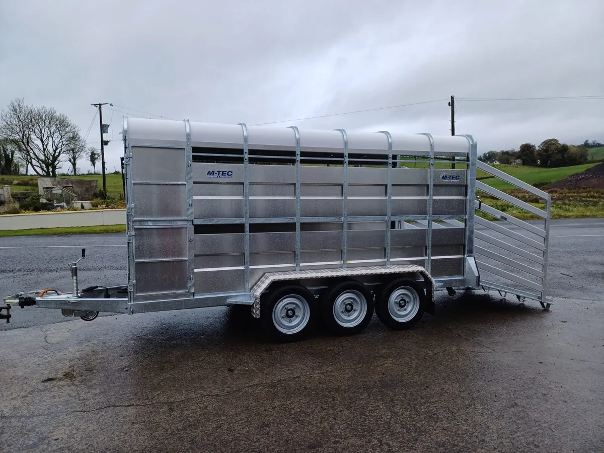 New 14ft Mtec Cattle Trailer - Image 3