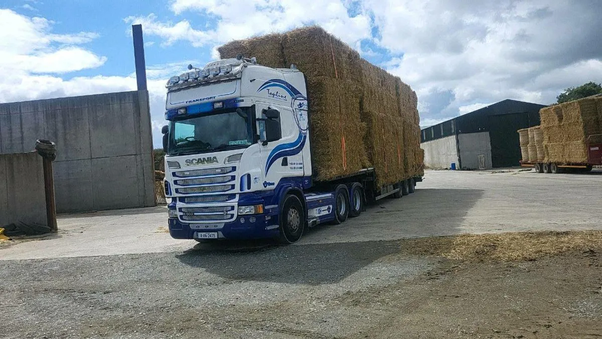 8/4/3 Barley and wheaten straw - Image 4