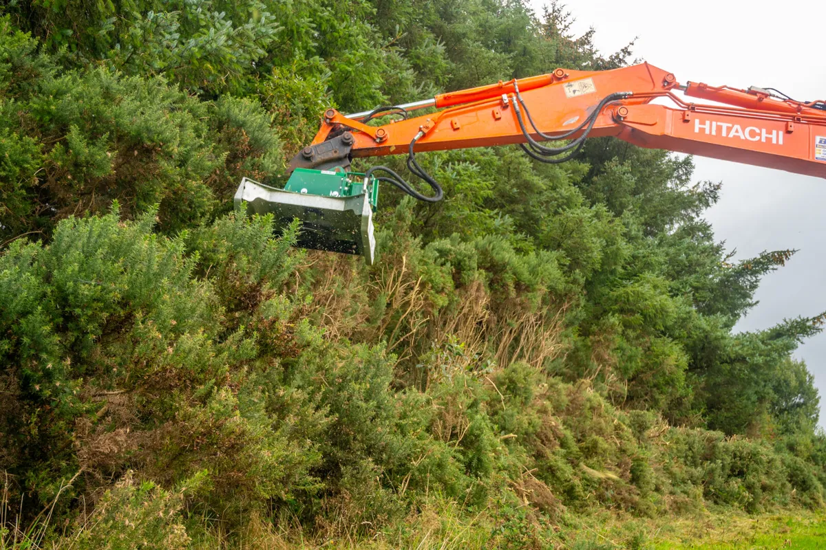 Major Excavator Mulcher DEMO MACHINE - Image 3