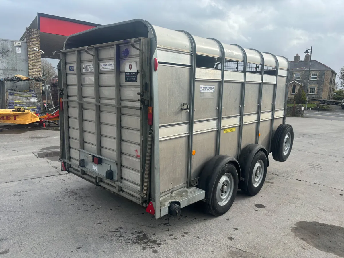 ifor williams ta510 12 ft with front flap - Image 3