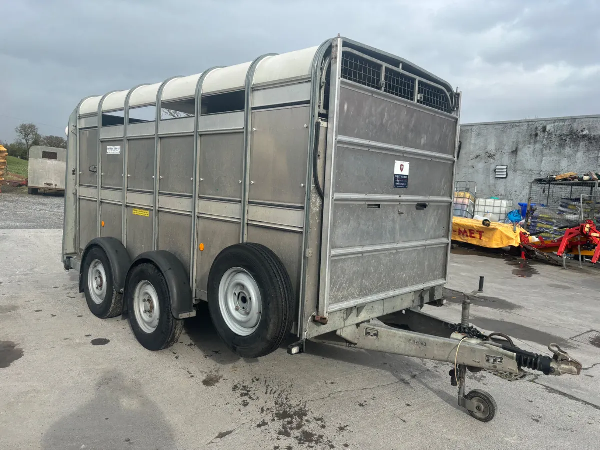 ifor williams ta510 12 ft with front flap - Image 2