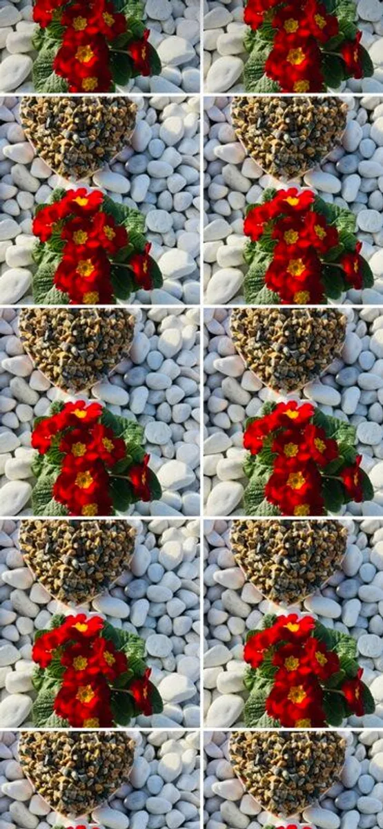 Building Materials Cork - Image 1