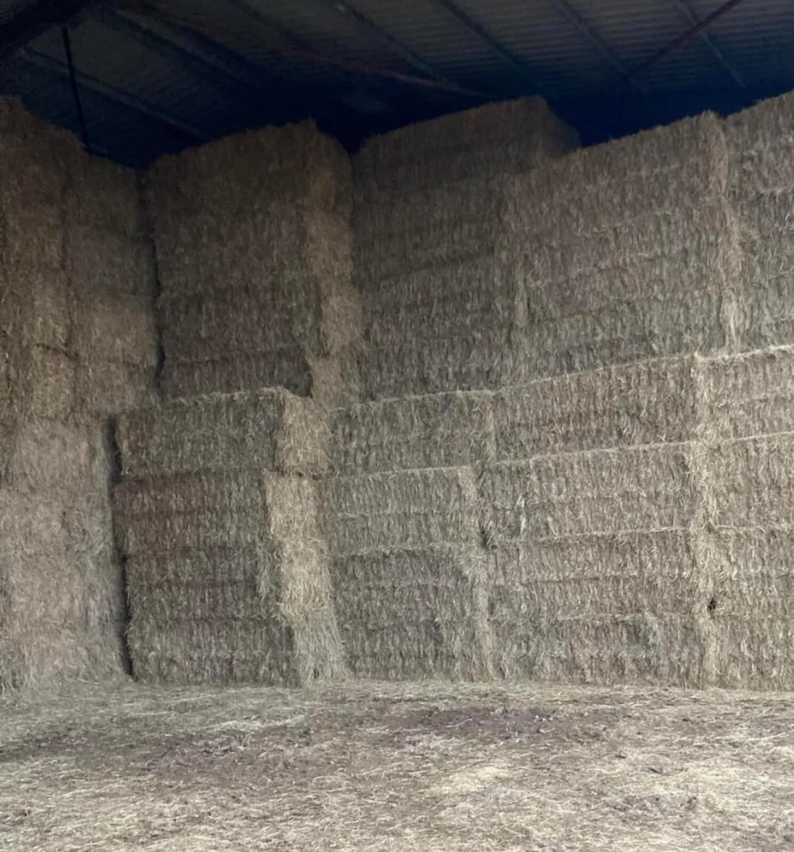 2025 Hay - Straw - Rounds & Square - Image 1
