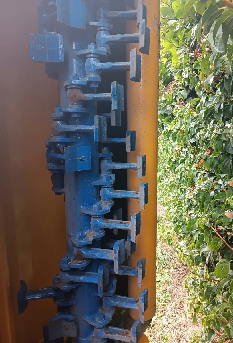 NEW BOMFORD HAWK  EVO 6.0 - Image 2