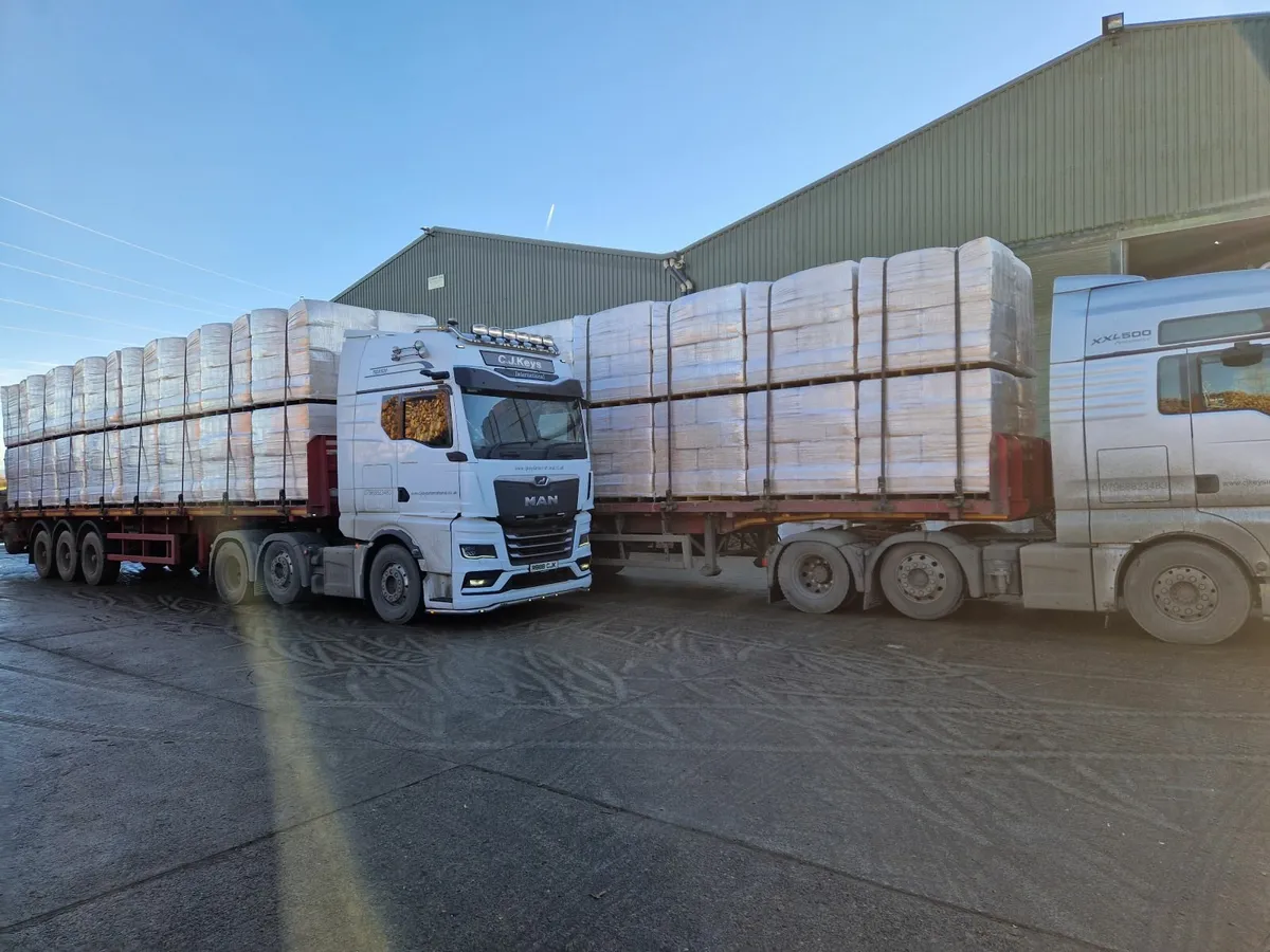 Shavings-  Shavings - Artic's Nationwide Delivery - Image 1