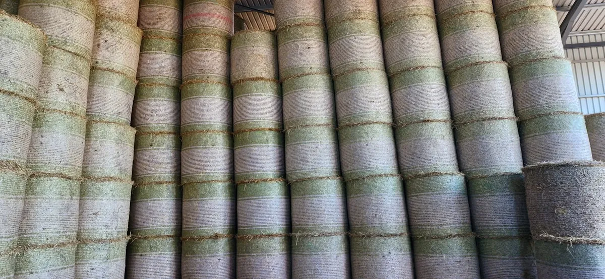 Straw for sale - Image 3