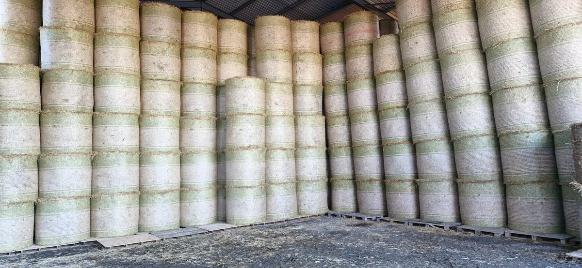 Straw for sale - Image 4