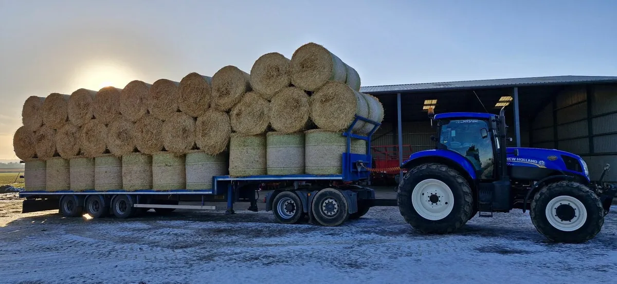 Straw for sale - Image 2