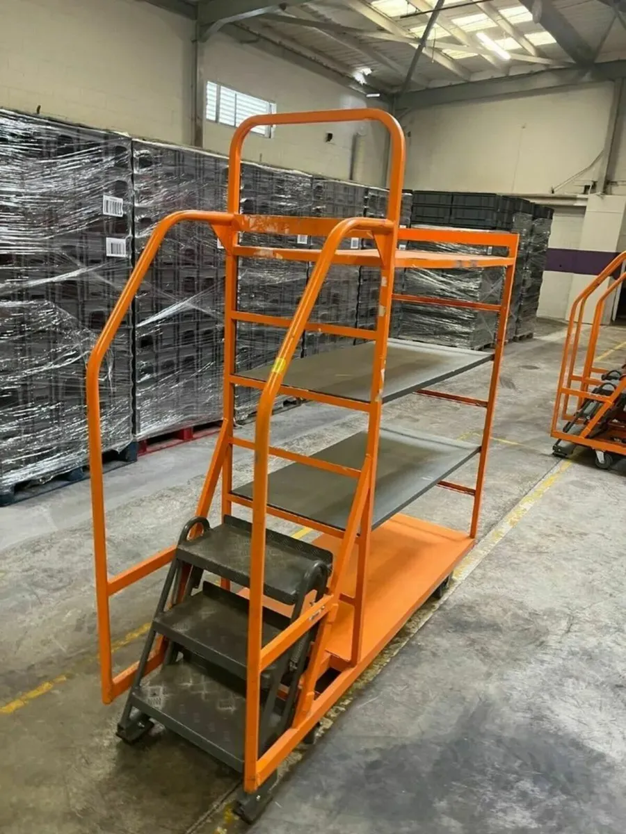 Trolly with Ladder and Castors - Image 2