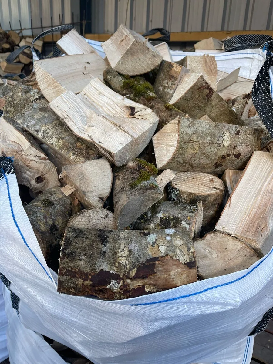 FIREWOOD. DRY ASH. - Image 1