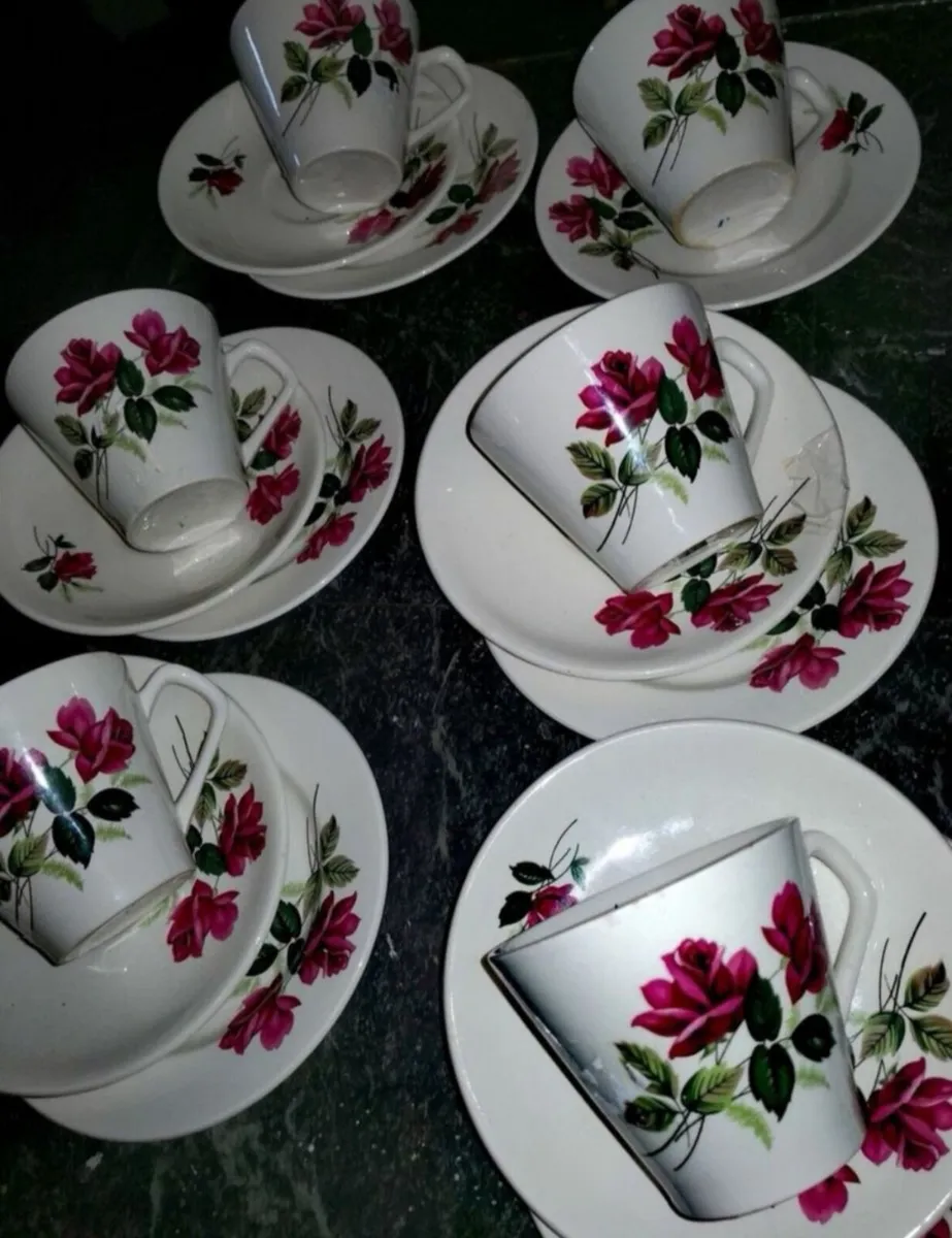 Beautiful Lord Nelson Roses teaset Staffordshire - Image 1
